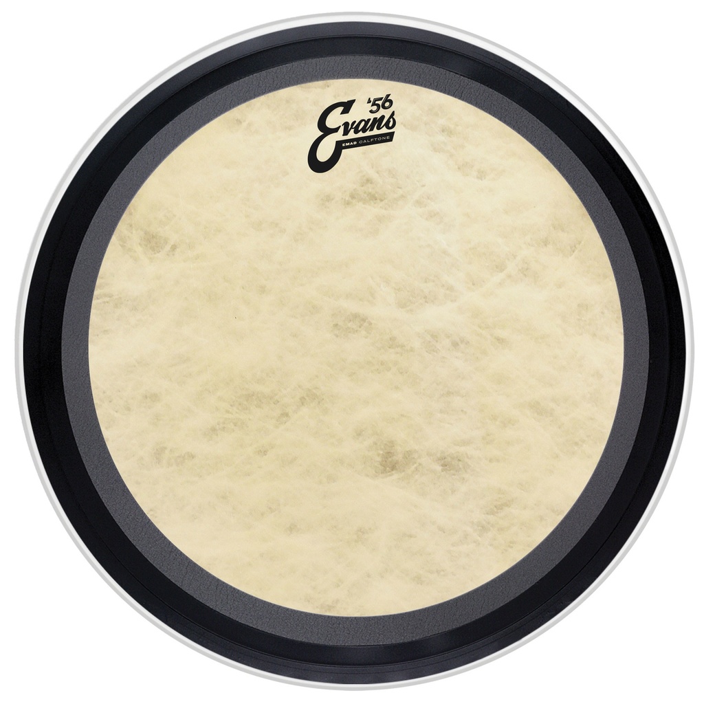 Evans 22" EMAD '56 Calftone Bass Head