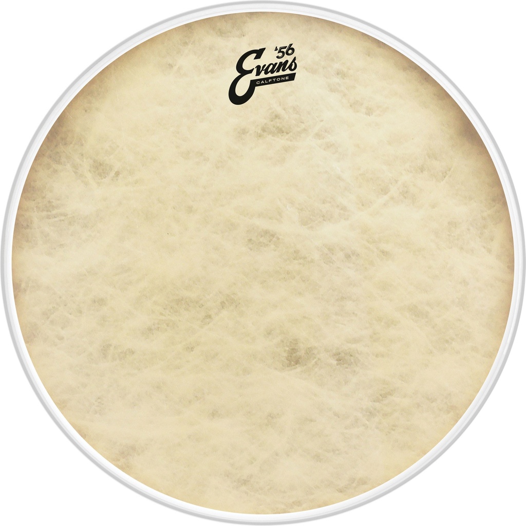 Evans 26" '56 Calftone Bass Head