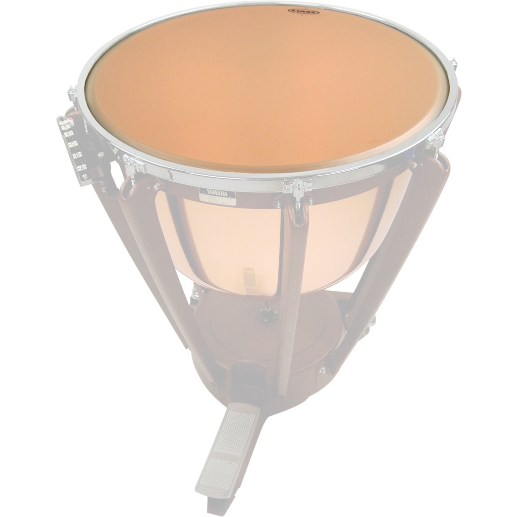 Evans 31" Strata Timpani Head
