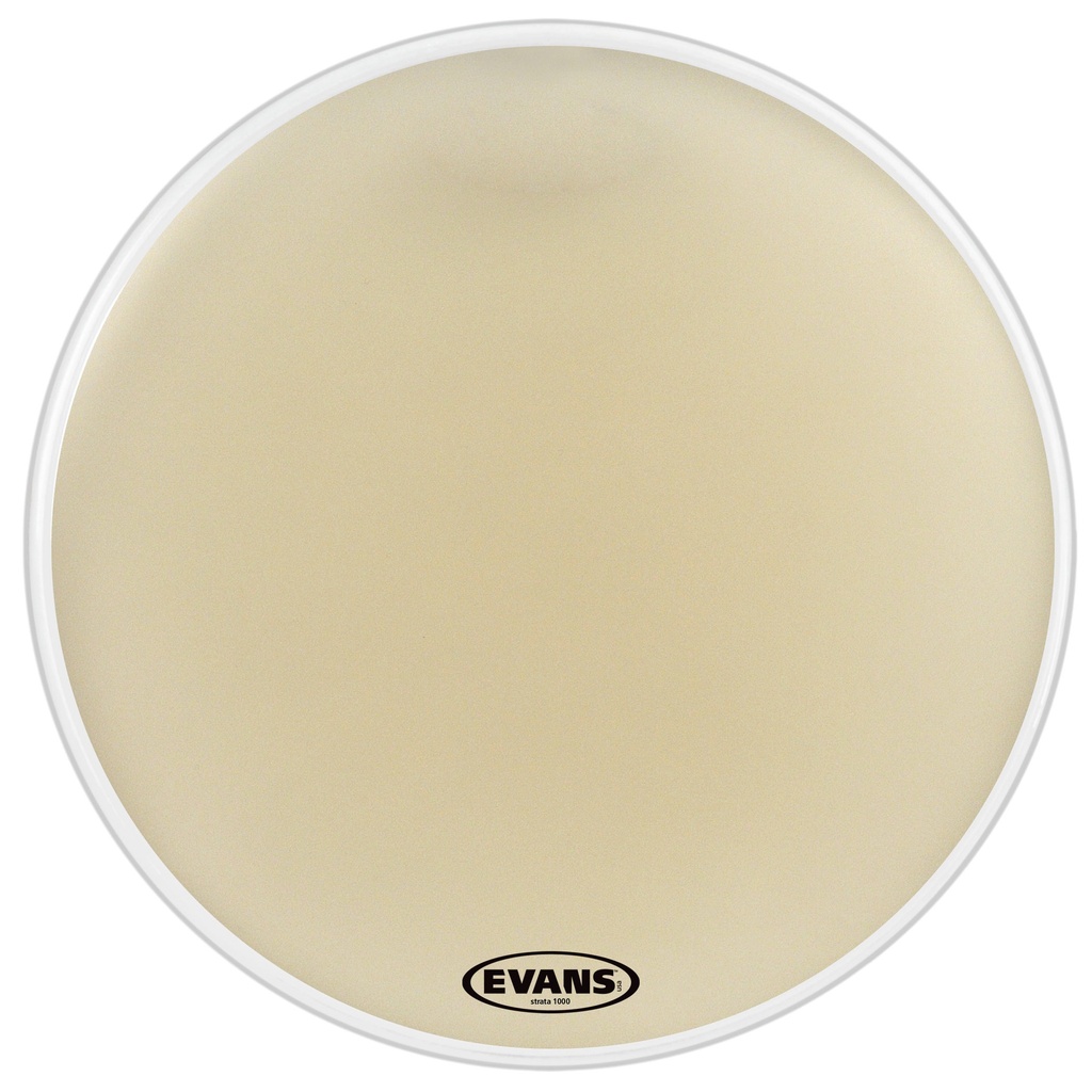 Evans 36" Strata 1000 Concert Bass Head