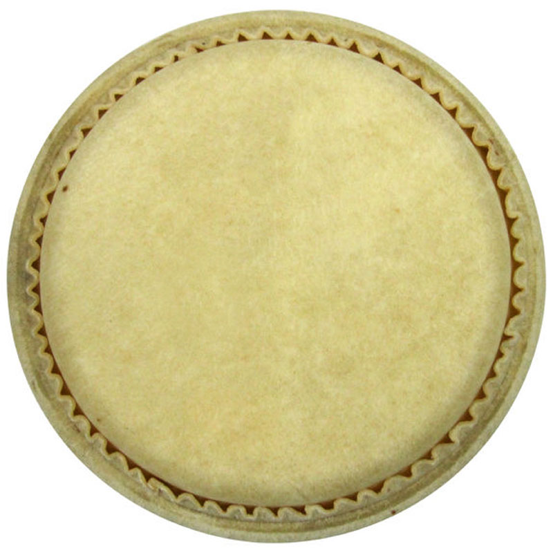 Meinl 8" Conguita Head